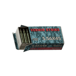 5.56x45mm M885