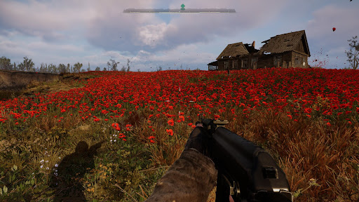 Poppy Field