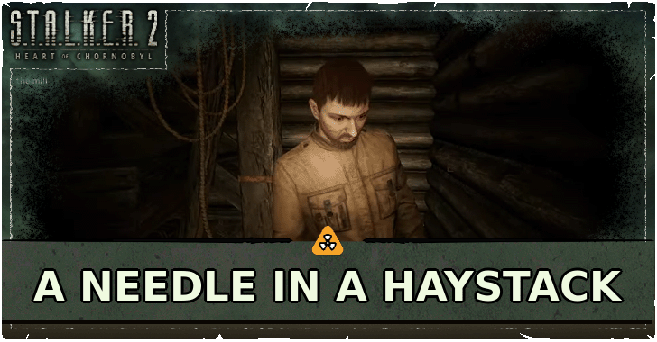 A Needle in a Haystack